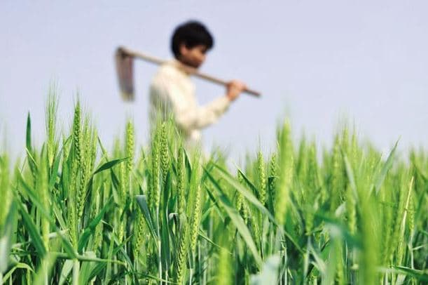 किसानों को राहत, 17 दिसम्बर से शुरू होगा कर्जमाफी का दूसरा चरण