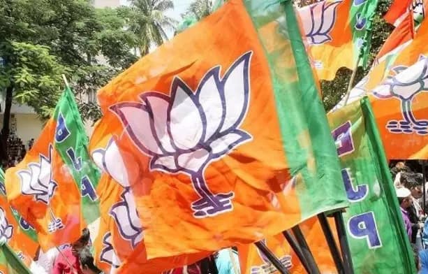 MP में 20 जनवरी से पहले होगा भाजपा प्रदेश अध्यक्ष के नाम का ऐलान!