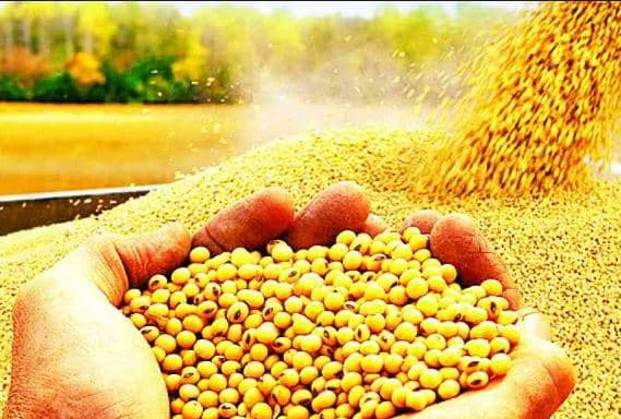 प्रदेश के 20 लाख किसानों को कमलनाथ सरकार देगी एक और तोहफा