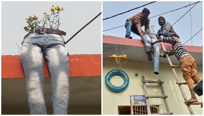 कबाड़ से जुगाड़: फटी पुरानी जीन्स बन गई छतों का गुलदस्ता