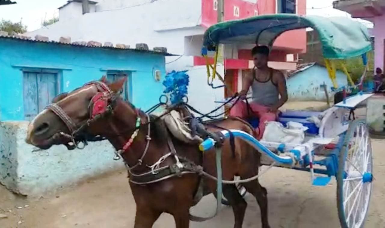 आधुनिकता पर भारी, सीहोर में तांगे की सवारी