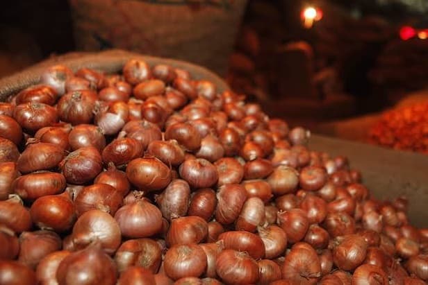 प्रशासन ने लगाए सस्ती प्याज बेचने के काउंटर, मंडी में घट गए दाम
