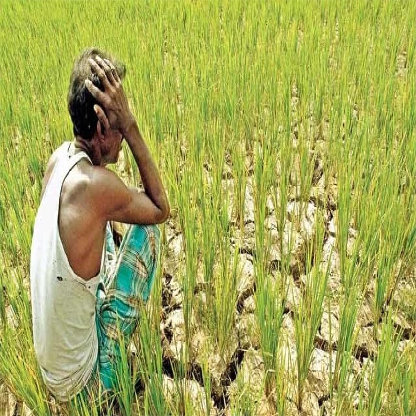 लिस्ट देख किसानों को लगा बड़ा झटका, कर्ज के नाम पर माफ हुए सिर्फ 25 रुपए