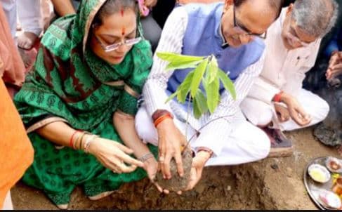 पौधारोपण घोटाला: अफसरों ने शिवराज-शेजवार को दी ‘क्लीनचिट’, सरकार में हड़कंप