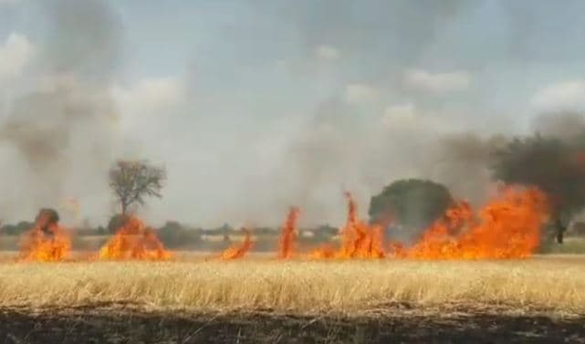 किसानों पर फिर टूटा आग का कहर, 15 एकड़ की फसल जलकर खाक