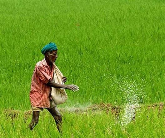 MP News : 7 लाख किसानों के खातों में नहीं पहुंचा किसान सम्मान निधि का पैसा, जाने वजह