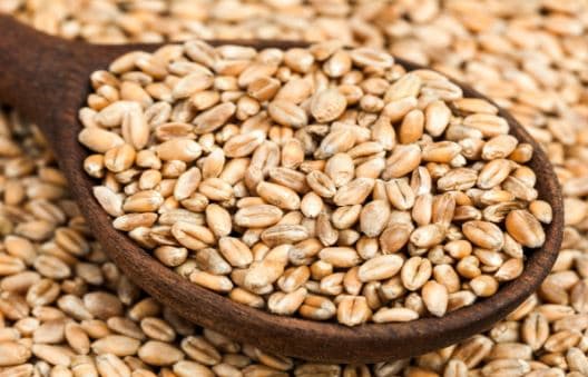 क्या स्वास्थ्य के लिए नुकसानदेह है गेंहू, पढ़िए यह रिपोर्ट