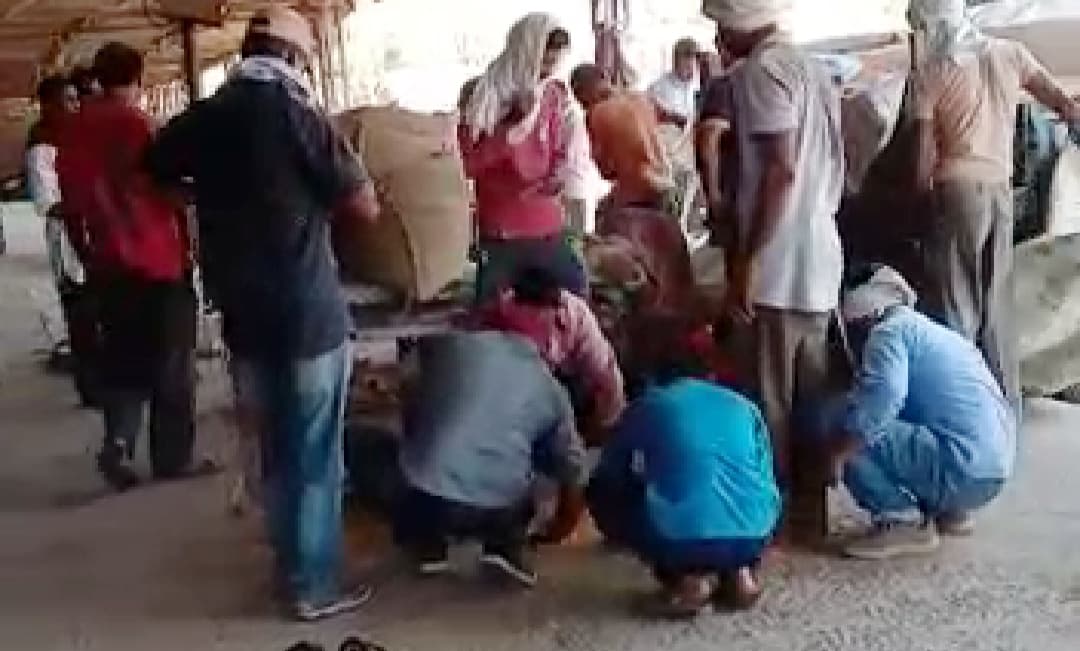 मंडी में व्यापारी किसानों की उपज पर झाडू मार कर कमा लेते हैं डेढ करोड़