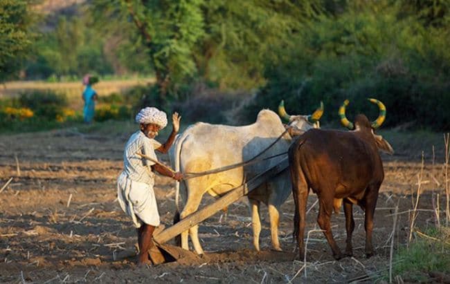 चुनाव से पहले मोदी सरकार का किसानों के लिए बड़ा तोहफा, जल्द होगा ये ऐलान