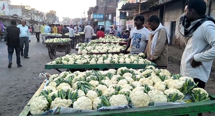 फूल गोभी के ठेले लगाकर प्रत्याशी ने किया प्रचार, 5 बजते ही सड़क पर बांटे