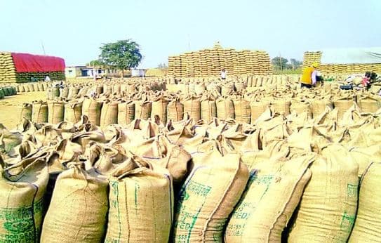समर्थन मूल्य पर गेहूं खरीदी शुरू, फसल को छानकर और सुखाकर लाएं किसान