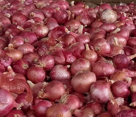 सरकार ने लगाए सस्ती प्याज बेचने के काउंटर, ये देख व्यापारियों ने घटा दिए दाम