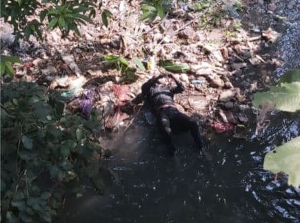 ओंकारेश्वर में मौतों का सिलसिला जारी, गौमुख घाट के नाले में मिला शव