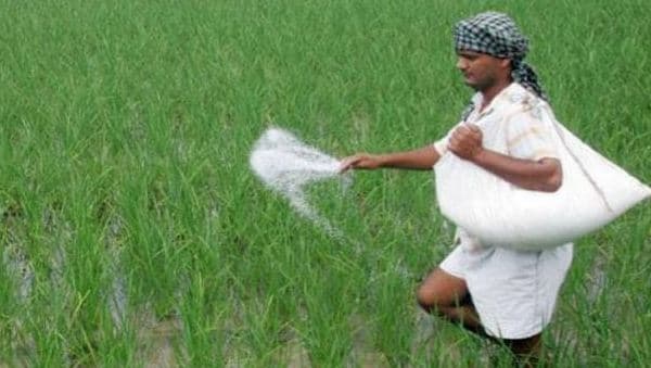 मप्र में यूरिया पर फिर सियासत, संकट में किसान