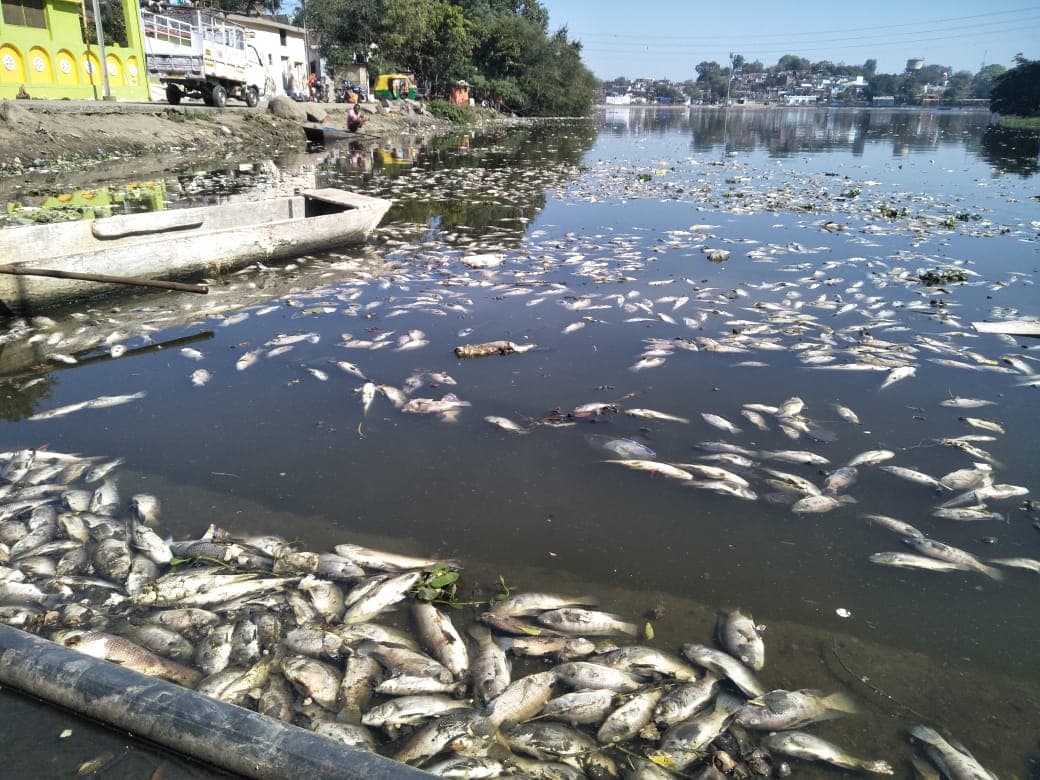 सूपाताल तालाब में मछलियों के मंरने का सिलसिला जारी, इलाके में महामारी का अलर्ट
