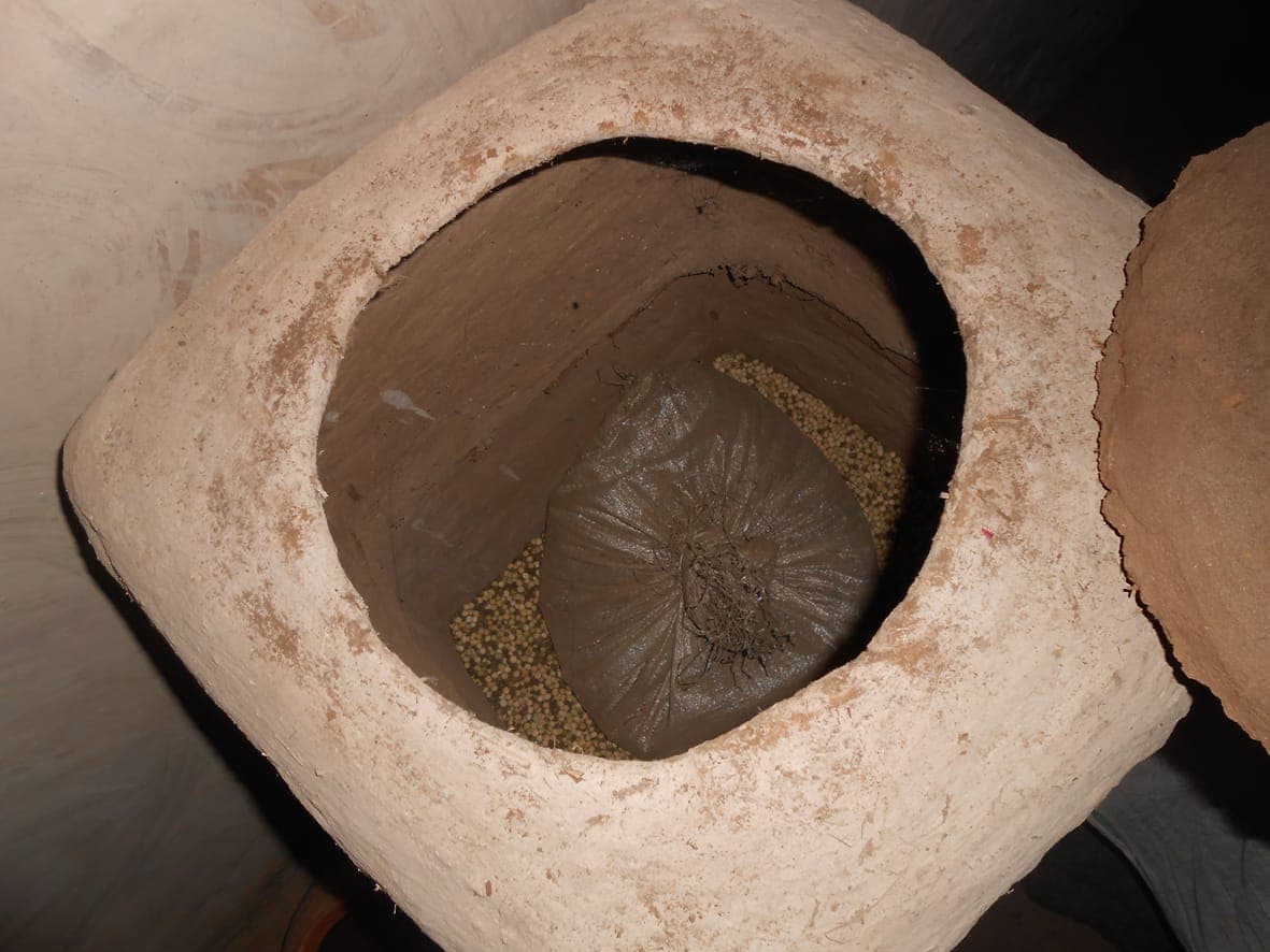 कोठियों से दूर हुआ अनाज तो कुपोषित हो रहे आदिवासी 