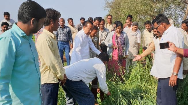 ओलावृष्टि से फसलें बर्बाद, खेतों में जायजा लेने पहुंचे कलेक्टर-विधायक