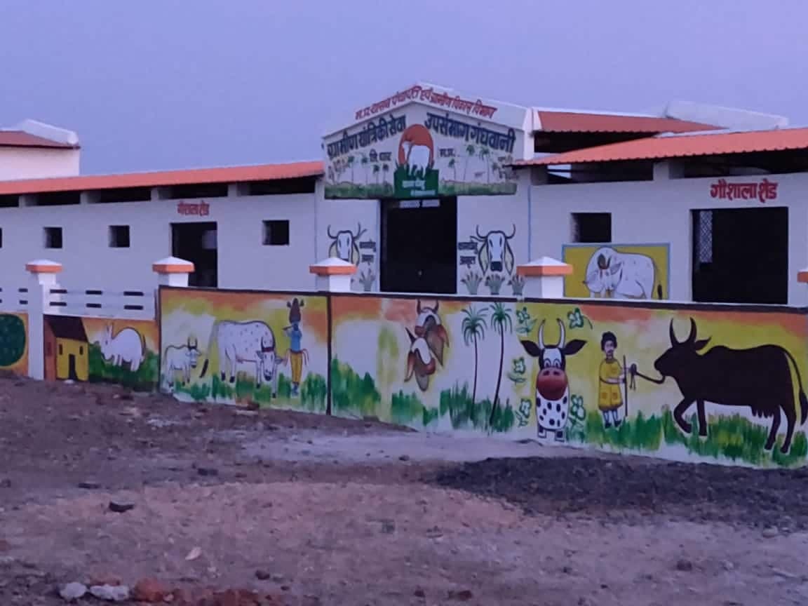 कलेक्टर का गौशालाओं के लिये नवाचार