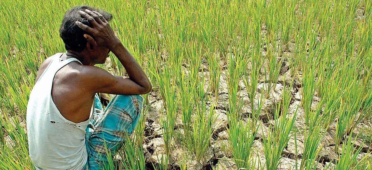 अब किसानों के सामने आया यह नया संकट