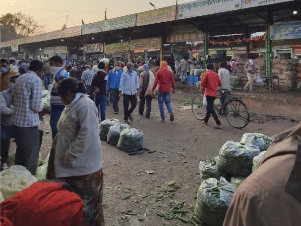 इंदौर: मंडी में सब्जियों की भरपूर आवक, दाम औंधे मुँह गिरे