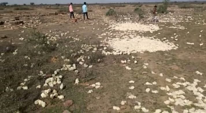 कोरोना के दहशत में पहाड़ी पर लावारिस छोड़े हजारों चूज़े