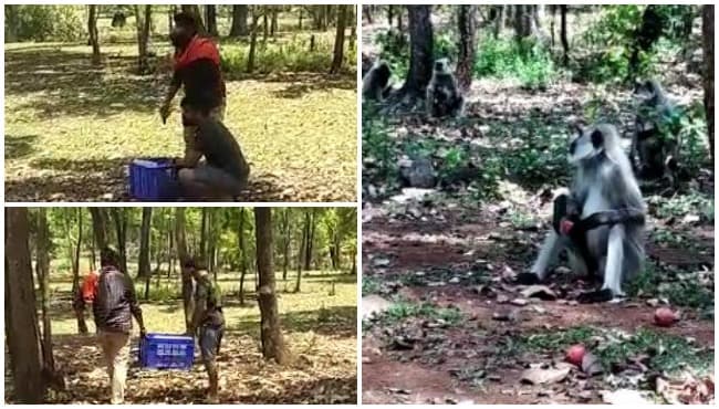 सराहनीय पहल: मूक पशु-पक्षियों के भोजन की व्यवस्था में जुटे युवा