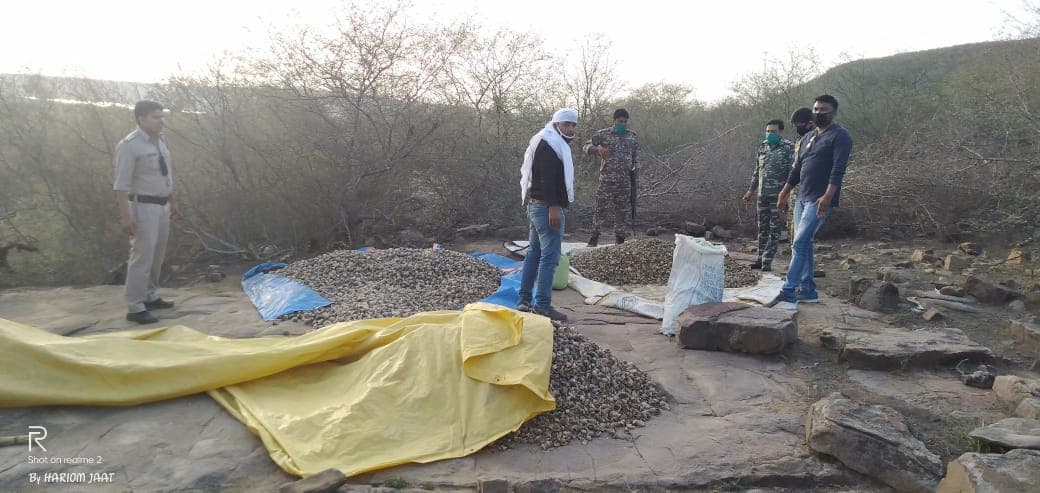 एसडीओपी की बड़ी कार्यवाही, 10 लाख का चूरा जप्त