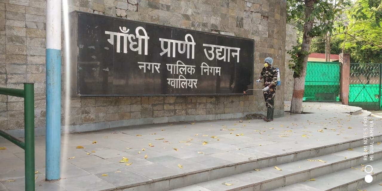 ग्वालियर का गांधी प्राणी उद्यान आइसोलेटेड, सभी जानवरों पर रखी जा रही कड़ी नज़र