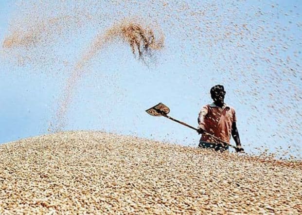 समर्थन मूल्य पर खरीदी 15 अप्रैल से, मंडियों के बाहर भी अनाज बेच सकेंगे किसान