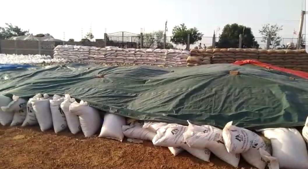 उपार्जन केंद्र पर हफ्ते भर से तुलाई का इंतजार कर रहे किसान, प्रशासन बेपरवाह
