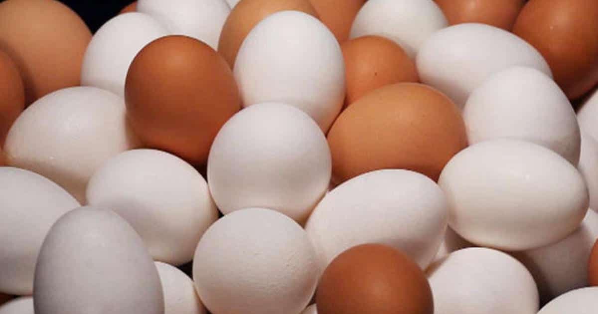 संडे हो या मंडे रोज खाओ अंडे, इंदौर में लॉकडाउन के बीच अंडे का फंडा
