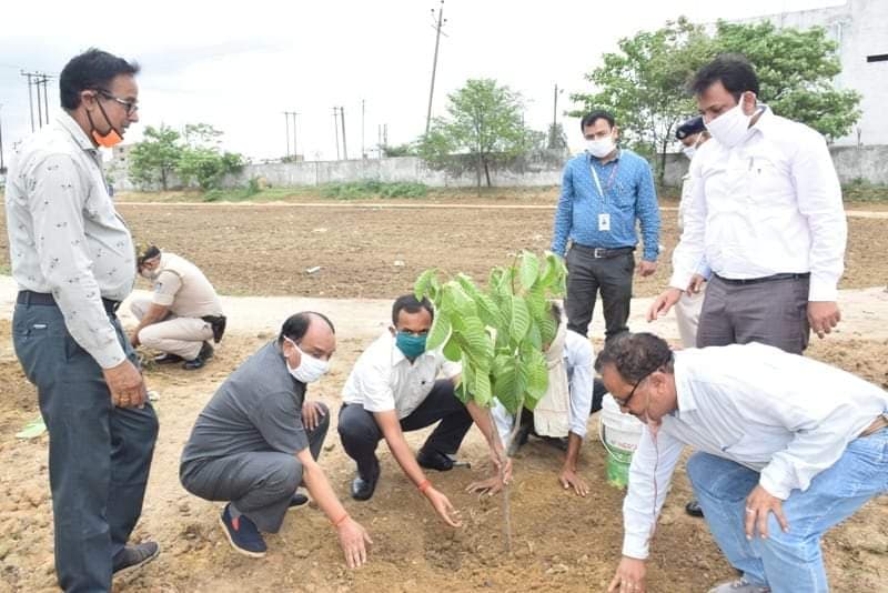 विश्व पर्यावरण दिवस पर कलेक्टर और जिला पंचायत सीईओ ने किया पौधारोपण