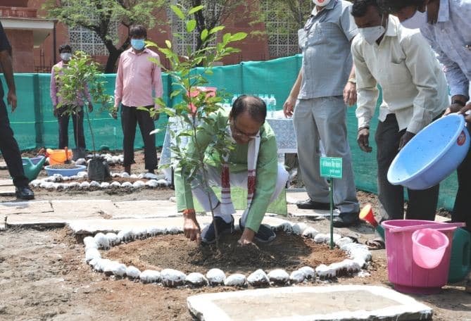 विश्व पर्यावरण दिवस: CM ने रौपे पौधे, बोले- ‘सभी एक वृक्ष जरूर लगाएं’