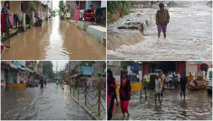 MP में ‘निसर्ग’ का तांडव, उफान पर नदी-नाले, कई पेड़ गिरे, 2 की दर्दनाक मौत