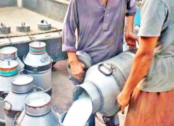 धड़ल्ले से जारी है सिंथेटिक दूध का कारोबार,दूसरे राज्यों में खूब सप्लाई हो रहा मिलावटी पनीर