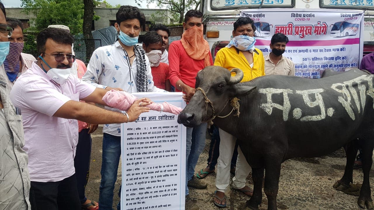 अनोखा प्रदर्शन, बस मालिकों ने इसलिए भैंस के आगे बजाई बीन