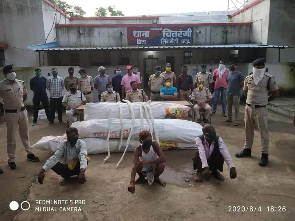गांजे की अवैध खेती करने के आरोप में 3 गिरफ्तार, 8 लाख के हरे पौधे बरामद