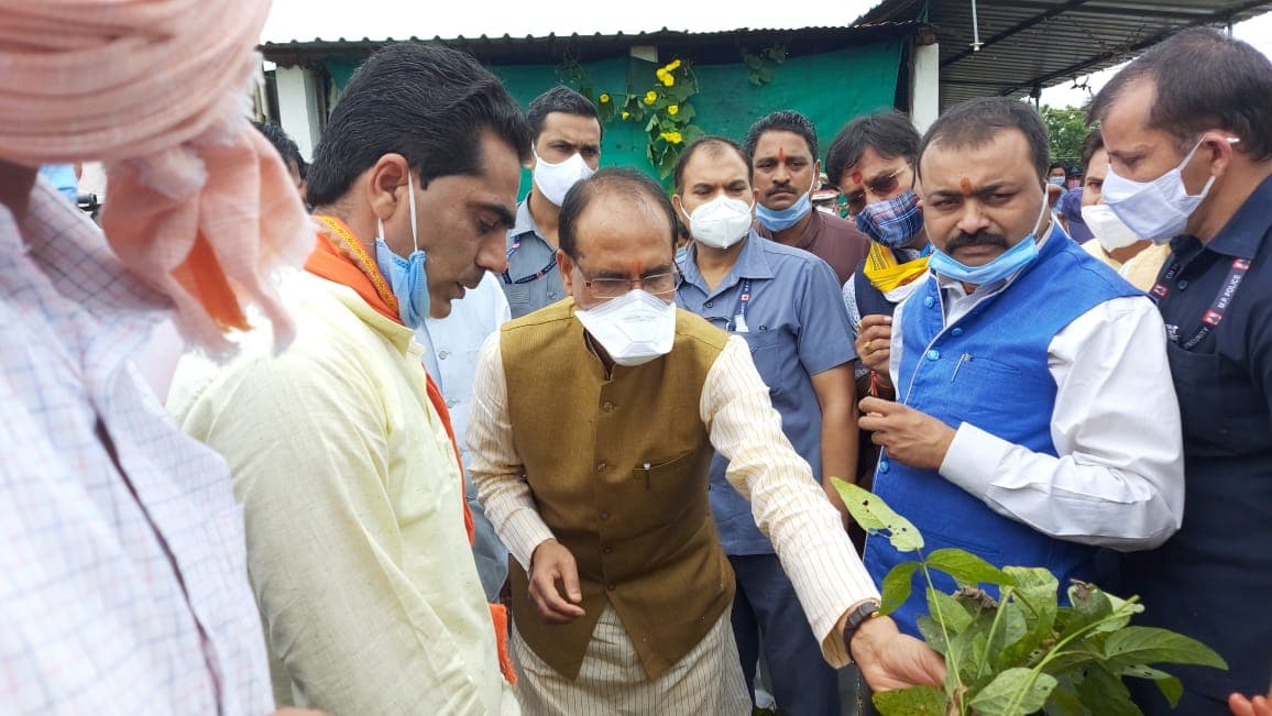 सीएम शिवराज ने किया फसलों का मुआयना, किसानों को हरसंभव मदद का आश्वासन