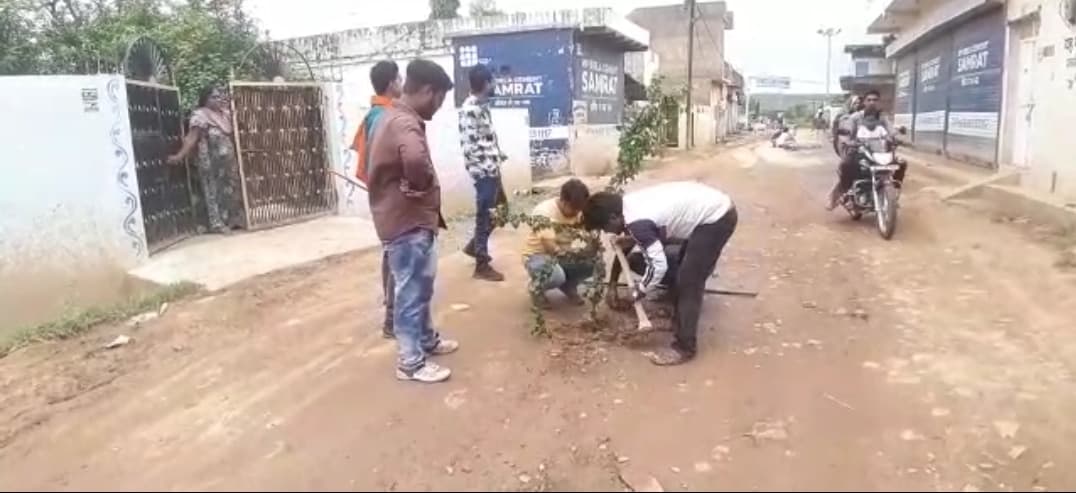 गड्ढों में रोपे बेशर्म के पौधे, जल्द सड़क ठीक न होने पर आंदोलन की चेतावनी
