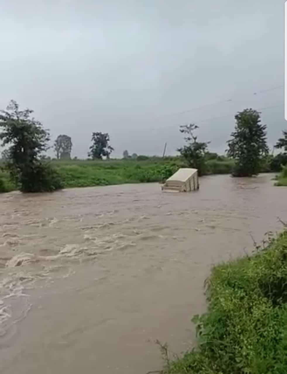 रायसेन में दुखद हादसा, उफनते नाले में ऑटो के साथ बह गया ड्राइवर, देखिये वीडियो