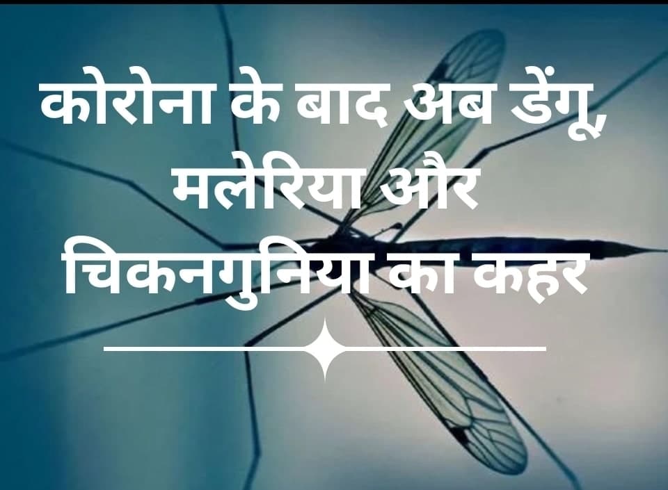 कोरोना के बाद अब डेंगू, मलेरिया और चिकनगुनिया का कहर, बढ़ रही मरीजों की तादाद