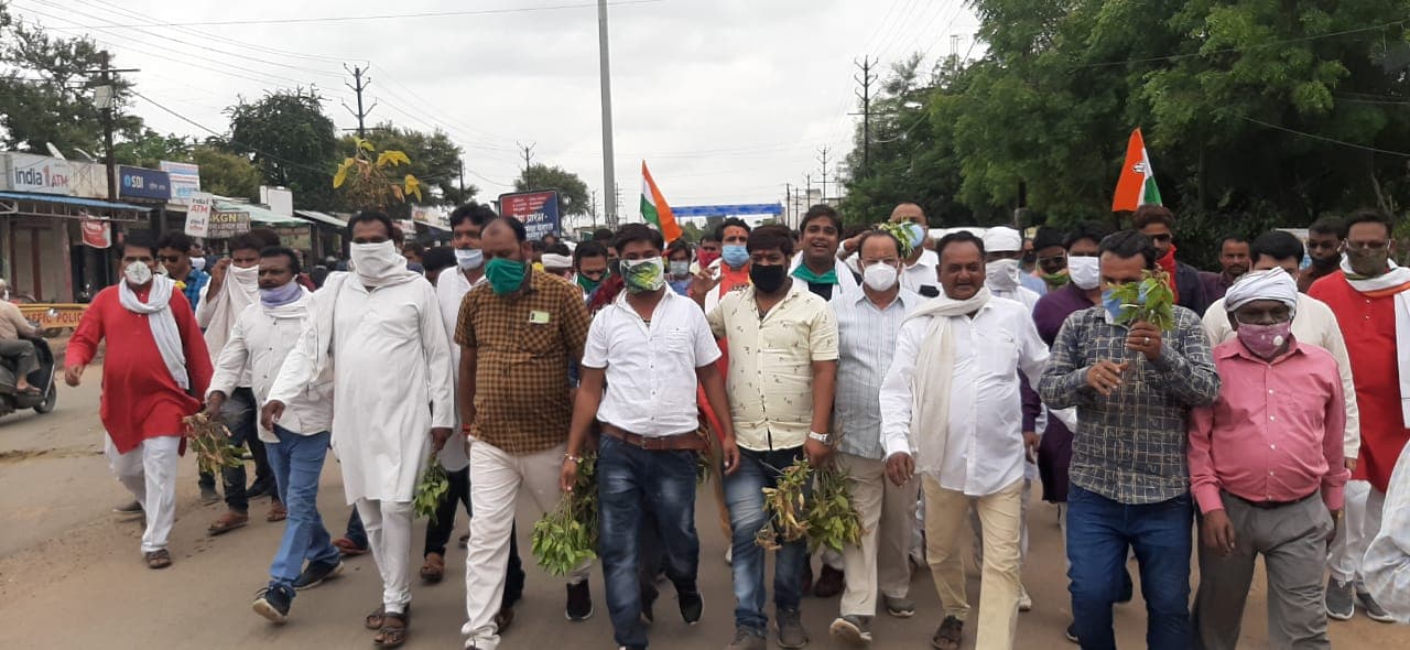 किसानों की समस्याओं को लेकर कांग्रेस ने सौंपा ज्ञापन, हाथों में फसल लेकर पहुंचे कलेक्ट्रेट,