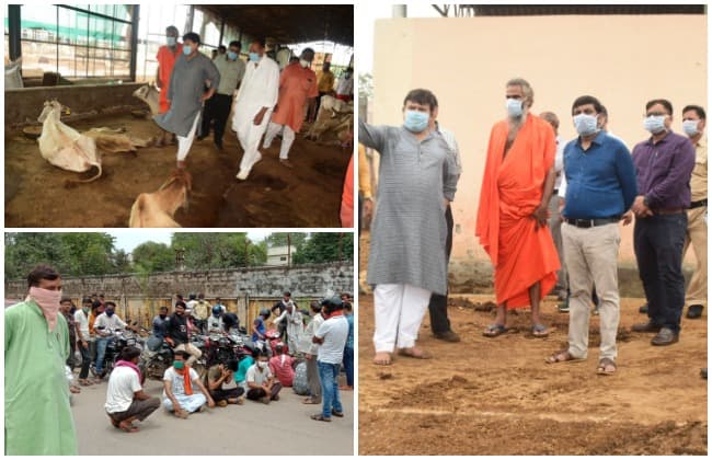 गायों की परेशानी देख गौसेवक उतरे सड़कों पर, मंत्री अफसरों को लेकर पहुंचे गौशाला