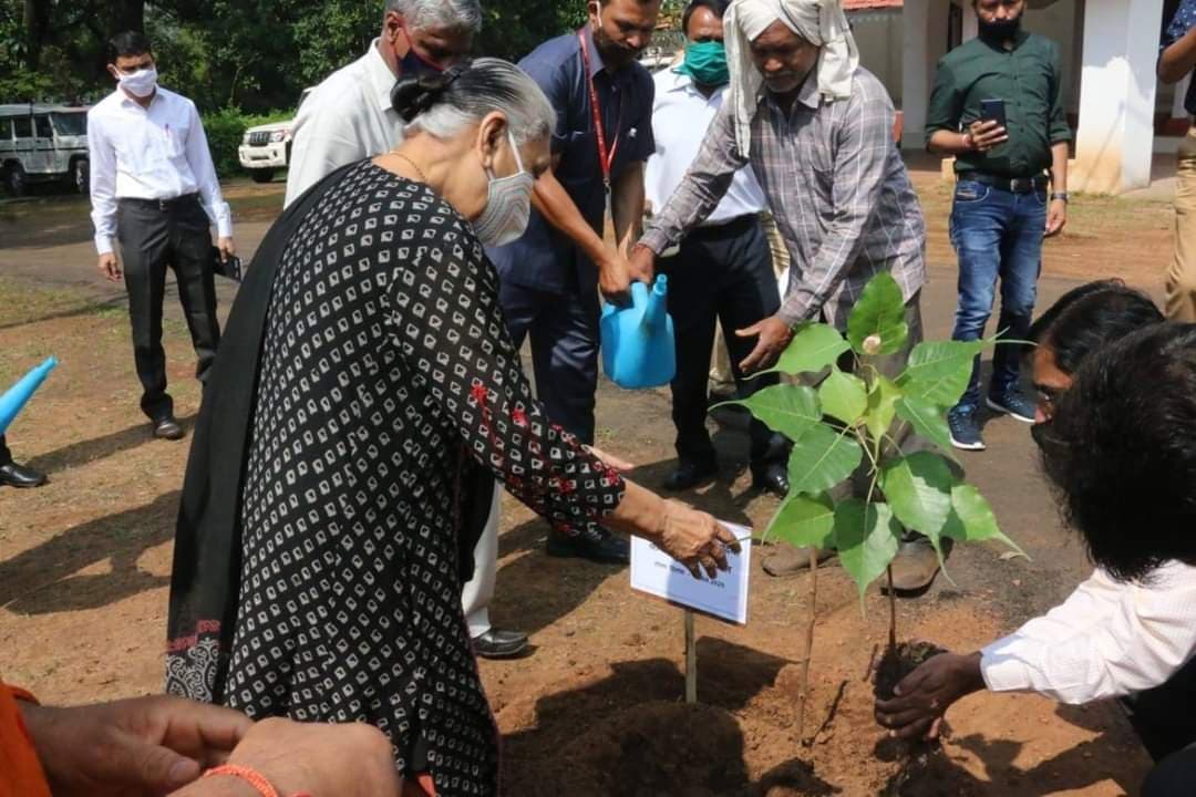 प्रभारी राज्यपाल आनंदीबेन पटेल ने पचमढ़ी में किया वृक्षारोपण, पर्यावरण संरक्षण का संदेश