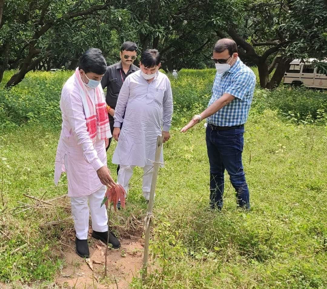 राज्य मंत्री भारत सिंह कुशवाह ने किया उद्यानिकी विभाग की नर्सरियों का निरीक्षण