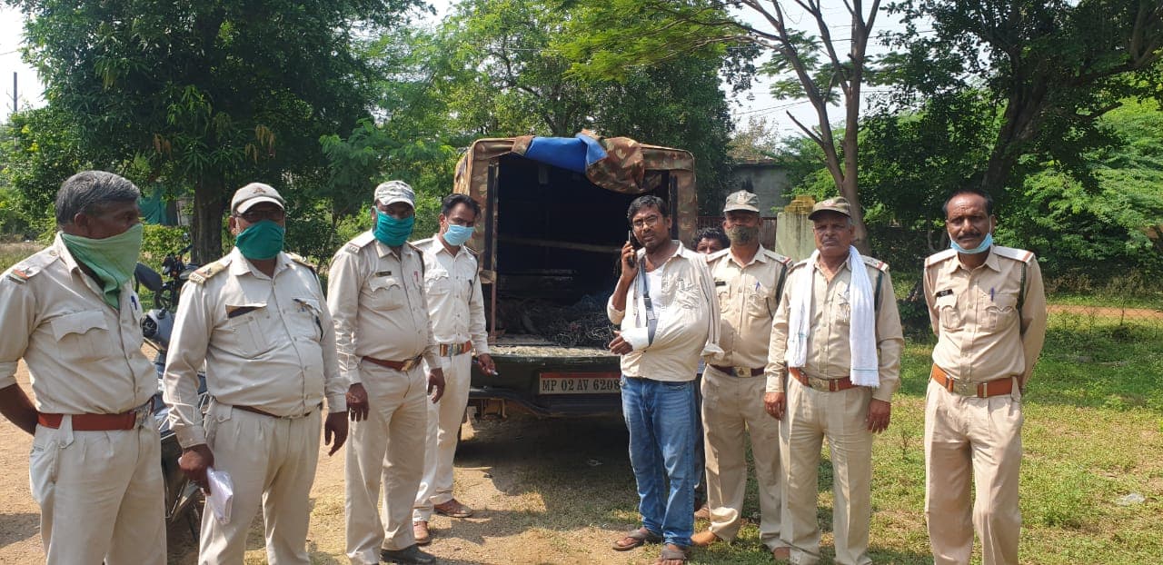 गांव में पहुंचा 5 फीट लंबा मगरमच्छ, वन विभाग ने किया रेस्क्यू