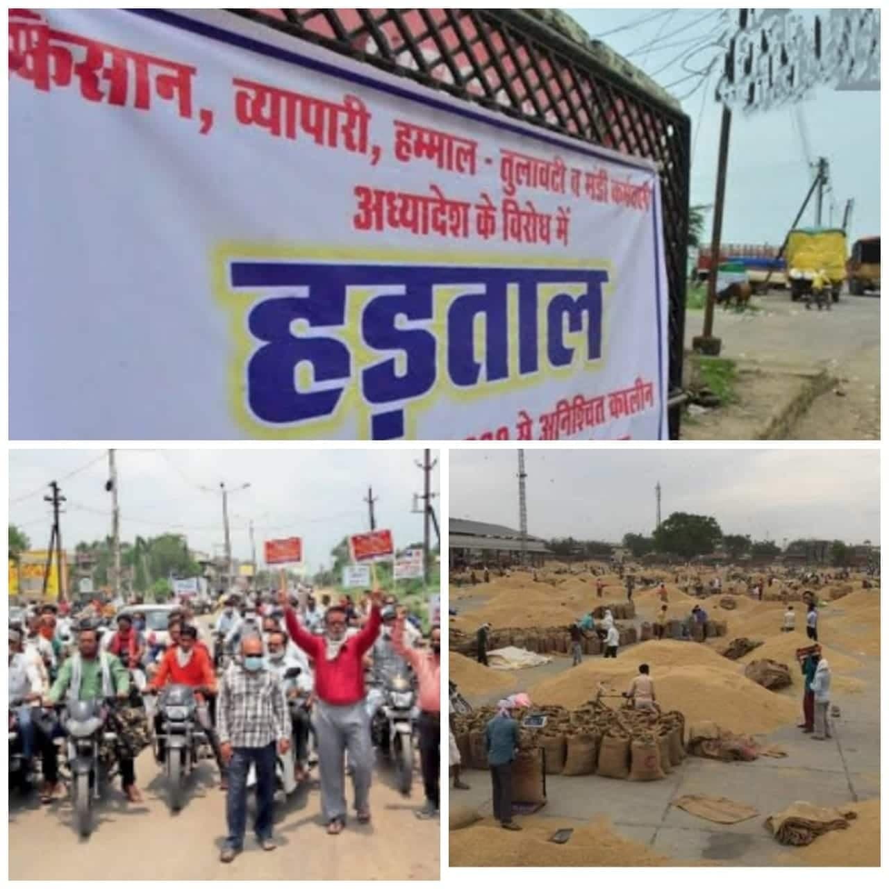 मॉडल मंडी एक्ट के विरोध में सड़कों पर उतरे सैंकड़ों कर्मचारी, अनिश्चितकालीन हड़ताल पर गए
