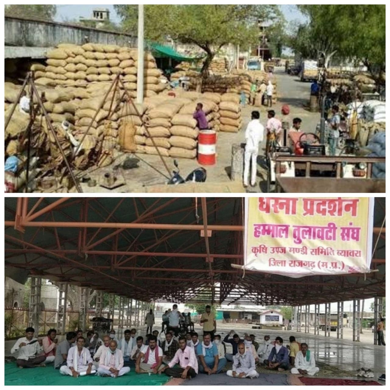 हम्माल-तुलावटियों का धरना प्रदर्शन, सरकार से मांग- “तौल पर्ची जारी करे सरकार”