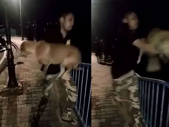 इंसान की क्रूरता: मस्ती में चूर लड़के ने कुत्ते को उठाकर तालाब में फेंका, कार्रवाई की मांग