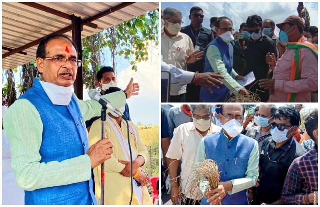बर्बाद फसलों को देख बोले CM, ‘कर्ज भी लेना पड़े तो लेंगे, पर किसानों के नुकसान की भरपाई करेंगे’
